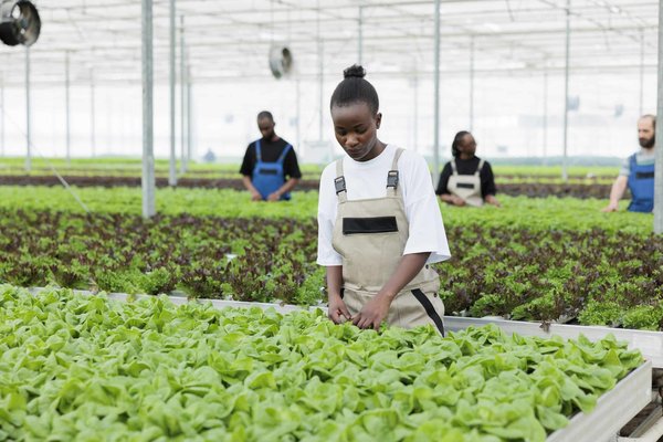 Quelles méthodes interactives pour l'étude de la physique des particules en terminale ?
